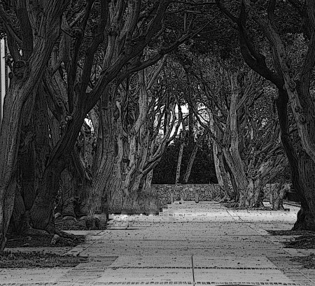 She runs through hallways  ( 50 words for N. Korean sex trafficking victims)