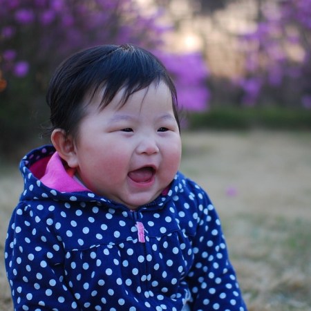 Play Hide and Seek With Eggs ( a Sijo in honor of North Korean defectors)