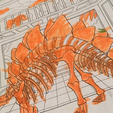 When Noah Rides Dinosaurs ( for my grandson)