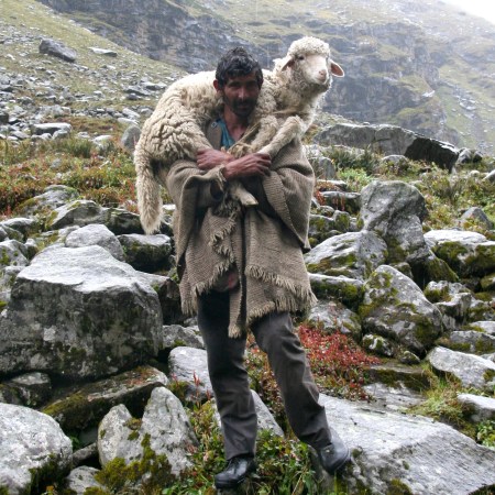 horseradish hooves ( a love song for the Shepherd…of Israel)