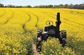 ..when we read stories …that not only plant imagery like wild seeds…but also have enough power…