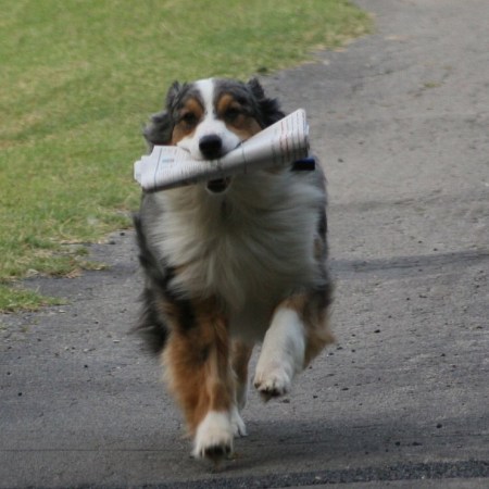 somewhere over the rainbow…