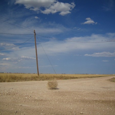 Some folks try to hang thistles on other people’s hearts…BUT….