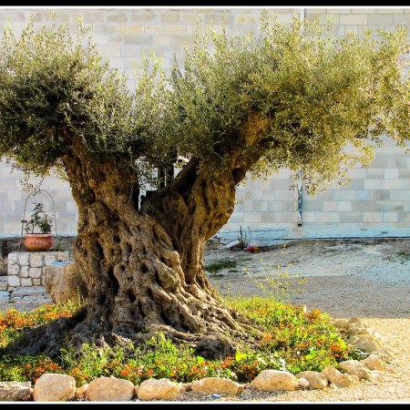 As the sun sets on this Father’s Day I want to thank 