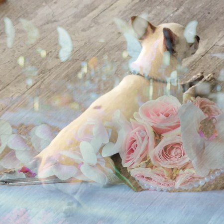 ~All the world’s my plate, and all creature’s waitresses~ © The Floral Dil