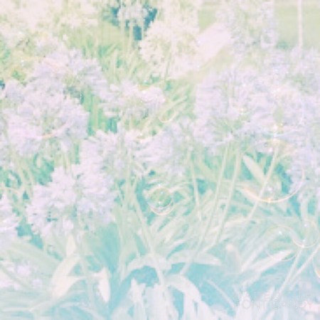 ~Nature waits for the children of Yah…to understand her~©Ae