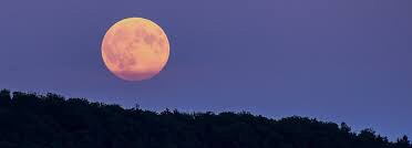 Oh my darling, no  need to wish upon stars…