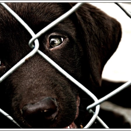 Some things matter …