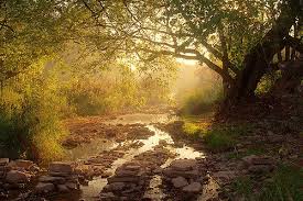 Oh, Have you Found it?