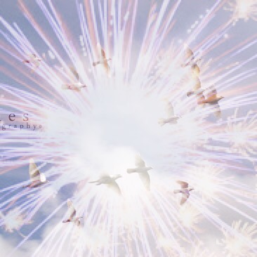 As America wishes for freedoms, on dandelions white as stars…