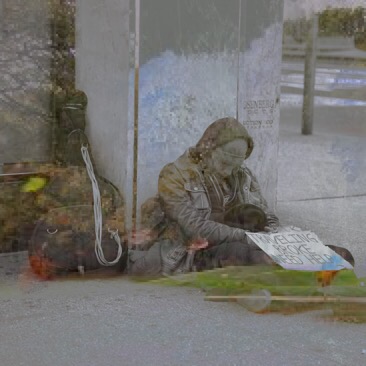 Hummingbirds on wind 