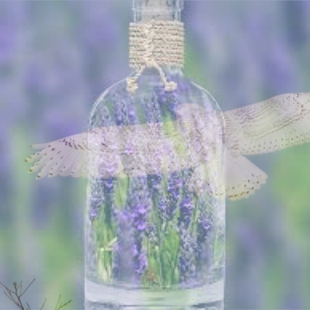 The Gift of a Lavender Sky