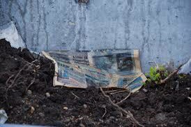 Newsprint swans …for America