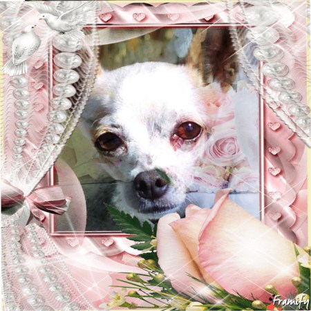 ~Someone told me that today was Rosh Hashanah. He was muffin.~ ©The Floral Dil