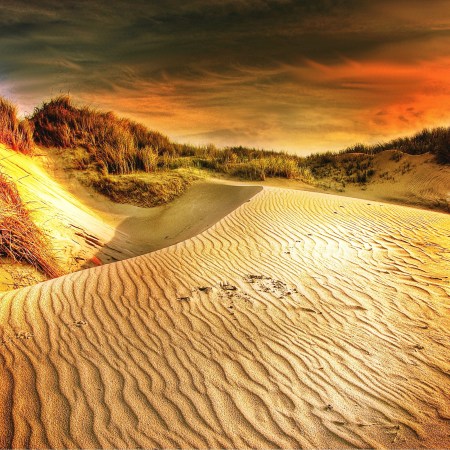 Pretzels on sand dunes 
