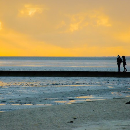 French bread and tides