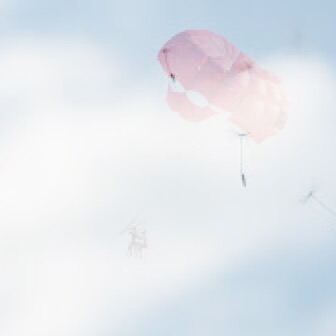 Dandelions…parachutes