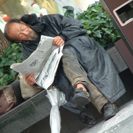 People are not pigeons… haiku