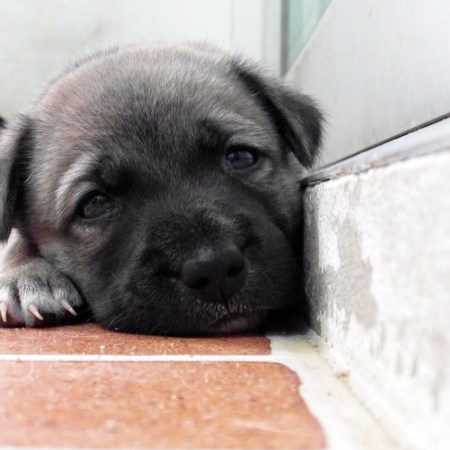 Some things matter… 