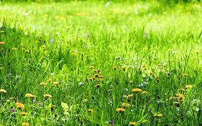 Altogether  intermittence