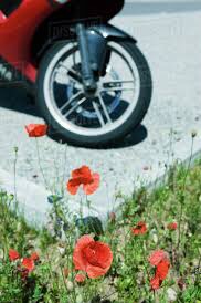 Trailing smoke over dotted white lines