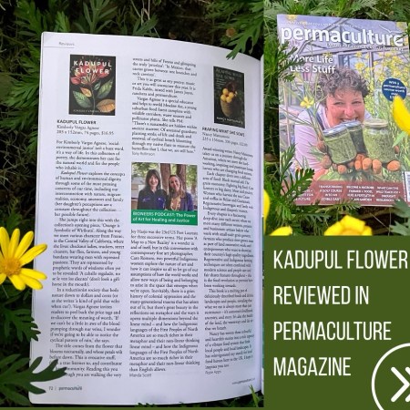 On her birthday in 2008, Queen Elizabeth 11 gave Permaculture Magazine the Queen’s Award for Enterprise: Sustainable Development.