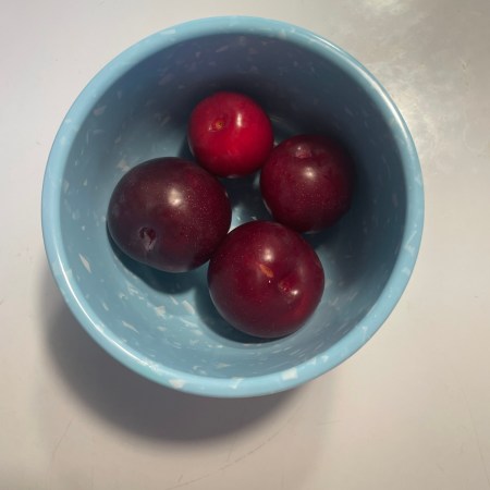 “… put in her thumb and pulled out a plum…”